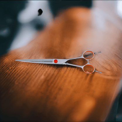Auddy 7.5 Inch Even Handle Straight Shear B-AD75S
